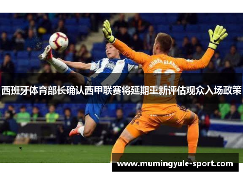 西班牙体育部长确认西甲联赛将延期重新评估观众入场政策