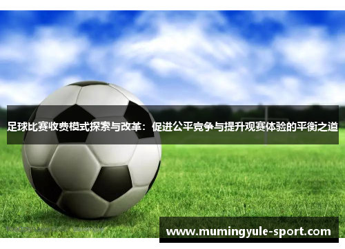 足球比赛收费模式探索与改革：促进公平竞争与提升观赛体验的平衡之道