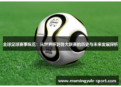 全球足球赛事纵览：从世界杯到各大联赛的历史与未来发展探析