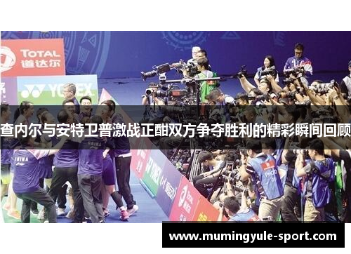 查内尔与安特卫普激战正酣双方争夺胜利的精彩瞬间回顾